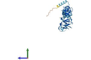 Protein Structure (PS) image for LIM and Senescent Cell Antigen-Like Domains 2 (LIMS2) (AA 1-341) protein (His tag) (ABIN7560083)