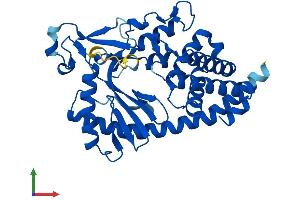 Protein Structure (PS) image for Mab-21-Like 1 (MAB21L1) (AA 1-359) protein (His tag) (ABIN7562529)