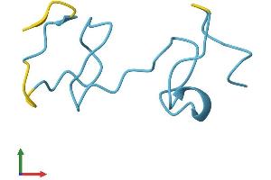 Protein Structure (PS) image for Metallothionein 1A (MT1A) (AA 1-61) protein (Fc Tag) (ABIN7549595)