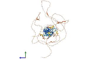 Protein Structure (PS) image for Mitogen-Activated Protein Kinase 8 Interacting Protein 1 (MAPK8IP1) (AA 1-711) protein (His tag) (ABIN7554198)