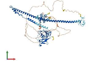 Protein Structure (PS) image for Mediterranean Fever (MEFV) (AA 1-781) protein (His tag) (ABIN7554519)