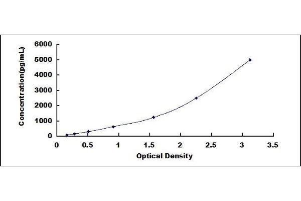 FLT1 ELISA Kit