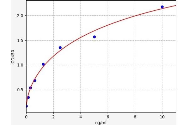 CALU ELISA Kit