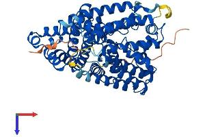 MBOAT1 Protein (AA 1-492) (His tag)