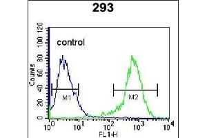 CDK8 Antibody (Center) (ABIN655911 and ABIN2845310) flow cytometric analysis of 293 cells (right histogram) compared to a negative control cell (left histogram).