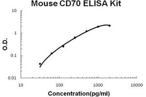 CD70 ELISA 试剂盒