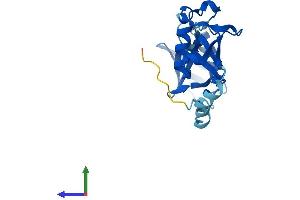 AlphaFold protein structure predicition of Mouse Recombinant Ankub1 Protein, UniprotID Q3UUE9