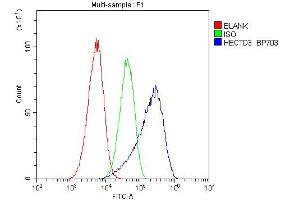 Flow Cytometry analysis of A549 cells using anti-HECTD3 antibody (ABIN6719595). (HECTD3 Antikörper)