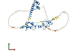 Protein Structure (PS) image for ISL LIM Homeobox 2 (ISL2) (AA 1-359) protein (His tag) (ABIN7560729)
