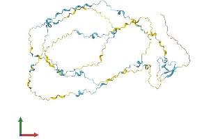 Protein Structure (PS) image for Family with Sequence Similarity 154, Member A (FAM154A) (AA 1-474) protein (His tag) (ABIN7545960)
