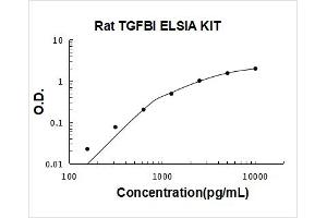 Transforming Growth Factor, beta-Induced, 68kDa (TGFBI) ELISA Kit