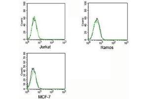 FACS testing of Rabbit IgG isotype control antibody FITC conjugate on human samples. (Kaninchen IgG isotype control (FITC))