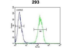 Flow cytometric analysis of 293 cells using Interleukin-17F / IL17F Antibody (N-term) Cat. (IL17F Antikörper  (N-Term))