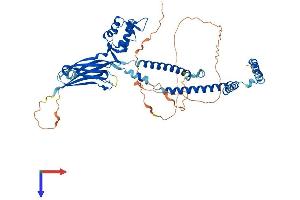 SMARCD2 Protein (AA 1-531) (His tag)