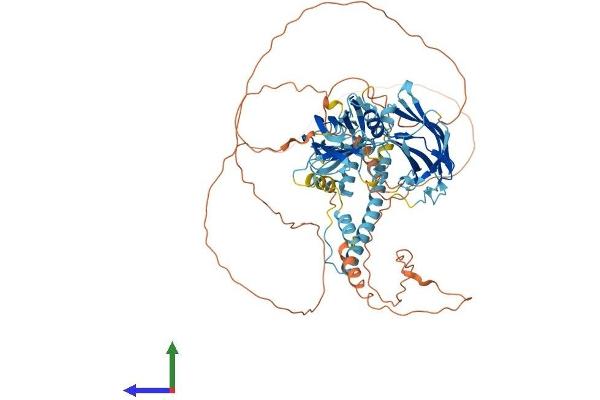 SYTL5 Protein (AA 1-730) (His tag)