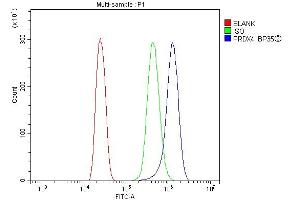 Flow Cytometry analysis of MCF-7 cells using anti-Peroxiredoxin 4 antibody (ABIN3043905). (Peroxiredoxin 4 Antikörper  (C-Term))