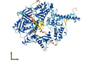 Protein Structure (PS) image for Polymerase (DNA Directed), delta 1, Catalytic Subunit 125kDa (POLD1) (AA 1-1107) protein (His tag) (ABIN7553696)