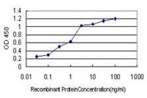 Detection limit for recombinant GST tagged ICOSLG is approximately 0. (ICOSLG Antikörper  (AA 20-302))