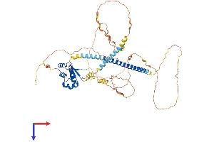 HSF1 Protein (AA 1-529) (His tag)