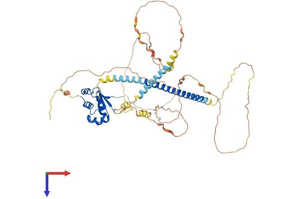 HSF1 Protein (AA 1-529) (His tag)