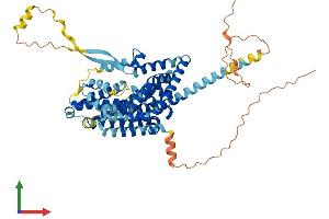 Protein Structure (PS) image for Solute Carrier Family 1 (Glial High Affinity Glutamate Transporter), Member 2 (SLC1A2) (AA 1-574) protein (His tag) (ABIN7547203)
