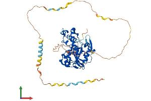Protein Structure (PS) image for Heparan Sulfate (Glucosamine) 3-O-Sulfotransferase 4 (HS3ST4) (AA 1-456) protein (His tag) (ABIN7548409)