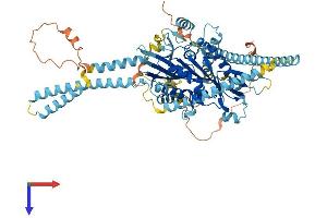 KIF3A Protein (AA 1-701) (His tag)