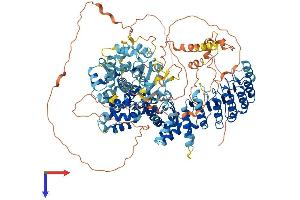 CIITA Protein (AA 1-1130) (His tag)
