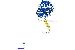 Protein Structure (PS) image for F-Box and Leucine-Rich Repeat Protein 15 (FBXL15) (AA 1-300) protein (His tag) (ABIN7560014)