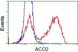 Image no. 2 for anti-Aconitase 2, Mitochondrial (ACO2) antibody (ABIN1496411) (ACO2 Antikörper)
