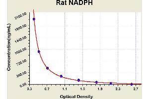 NADPH ELISA Kit