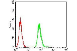 Flow cytometric analysis of MCF-7 cells using HLA-DRA mouse mAb (green) and negative control (red). (HLA-DRA Antikörper  (AA 26-254))