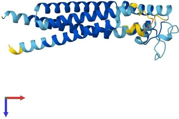 Tetraspanin 2 Protein (TSPAN2) (AA 1-221) (His tag)