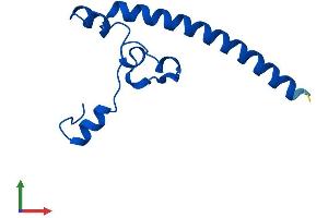 AlphaFold protein structure predicition of Human Recombinant RPL13AP3 Protein, UniprotID Q6NVV1