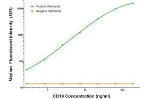 Luminex Assay (LMNX) image for anti-CD19 Molecule (CD19) antibody (ABIN2717399) (CD19 Antikörper)