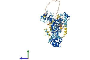 Protein Structure (PS) image for Baculoviral IAP Repeat Containing 2 (BIRC2) (AA 1-612) protein (His tag) (ABIN7563953)