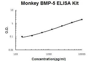 Monkey Primate BMP-5 PicoKine ELISA Kit standard curve