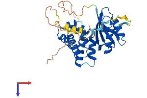 ARMC1 Protein (AA 1-282) (His tag)
