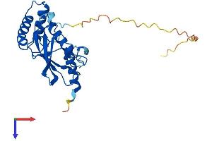 UBE2R2 Protein (AA 1-238) (His tag)