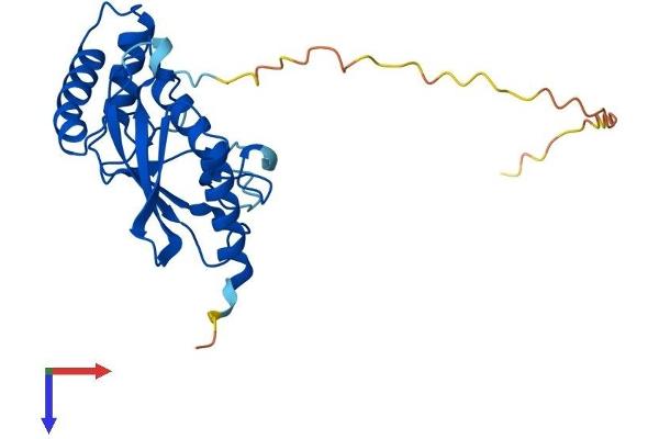 UBE2R2 Protein (AA 1-238) (His tag)