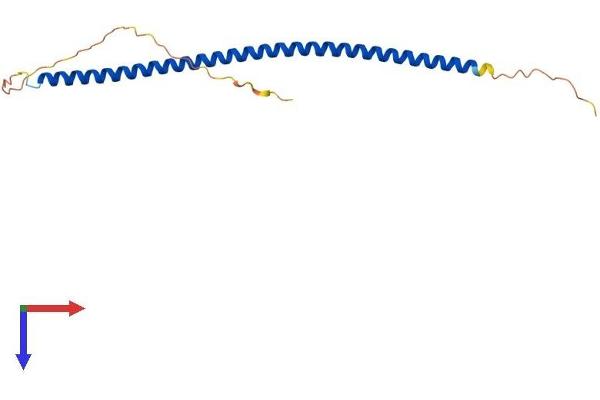 SYCE2 Protein (AA 1-171) (His tag)