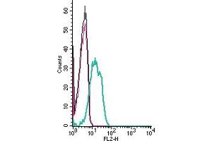 Cell surface detection of Cholecystokinin B receptor by indirect flow cytometry in live intact human Jurkat T-cell leukemia cells:  + goat-anti-rabbit-PE.