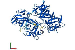 Protein Structure (PS) image for Fascin 2 (FSCN2) (AA 1-492) protein (His tag) (ABIN7547807)
