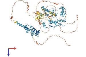 ZNF263 Protein (AA 1-683) (His tag)