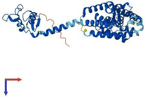 NR1I3 Protein (AA 1-358) (His tag)