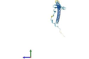 Protein Structure (PS) image for Chibby Homolog 1 (CBY1) (AA 1-126) protein (His tag) (ABIN7552927)