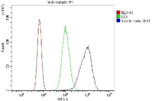 Flow Cytometry analysis of U937 cells using anti-Tubulin beta antibody (ABIN7602744). (TUBB Antikörper  (C-Term))