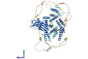 Protein Structure (PS) image for Coiled-Coil and C2 Domain Containing 1A (CC2D1A) (AA 1-951) protein (His tag) (ABIN7552824)