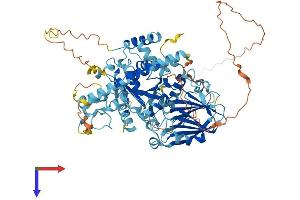 C4orf14 Protein (AA 1-693) (His tag)