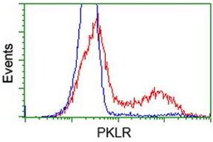 HEK293T cells transfected with either RC206455 overexpress plasmid (Red) or empty vector control plasmid (Blue) were immunostained by anti-PKLR antibody (ABIN2453473), and then analyzed by flow cytometry. (PKLR Antikörper)